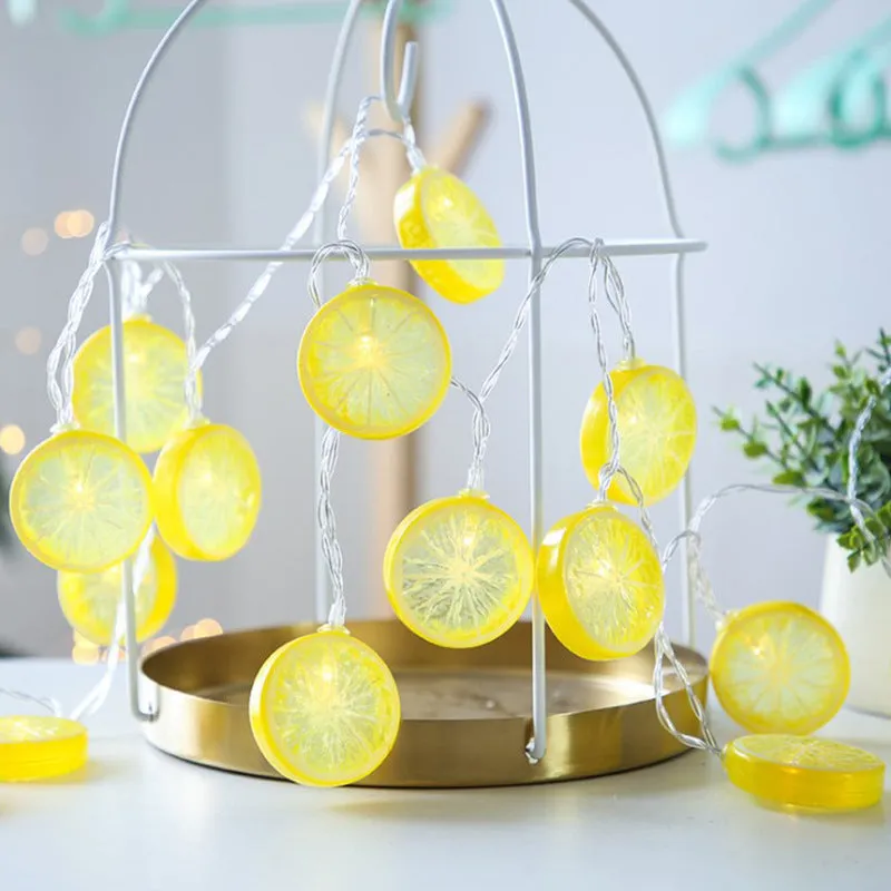 Fairy Lemon String Lights USB Powered Warm Light for Holiday Party Room Curtain Garden Decoration