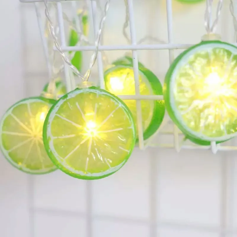 Fairy Lemon String Lights USB Powered Warm Light for Holiday Party Room Curtain Garden Decoration