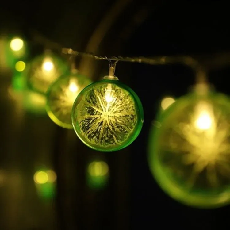 Fairy Lemon String Lights USB Powered Warm Light for Holiday Party Room Curtain Garden Decoration