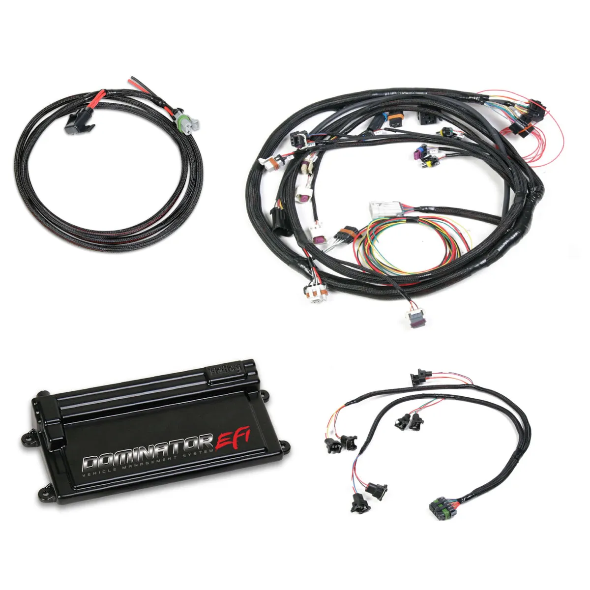 Holley EFI Dominator EFI Engine Control Module - LS2/LS3 - GM LS-Series