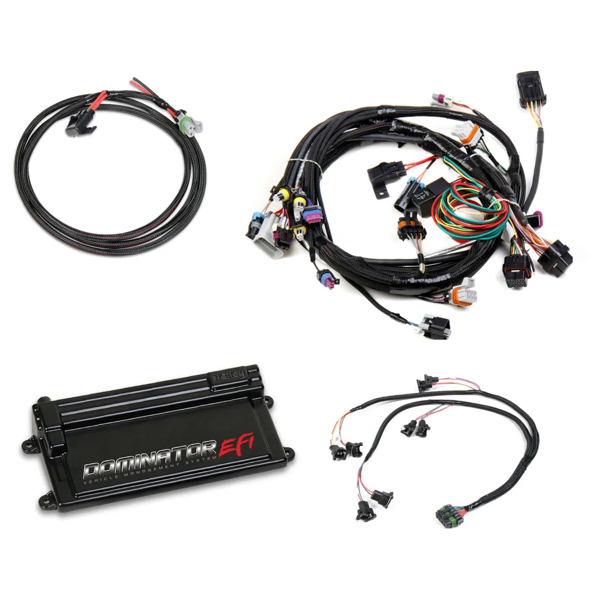 Holley EFI Dominator EFI Engine Control Module - Wiring Harness - LS1 / LS6 - GM LS-Series