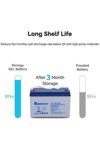 Renogy 12V 100Ah Deep Cycle Hybrid GEL Battery with Battery Box